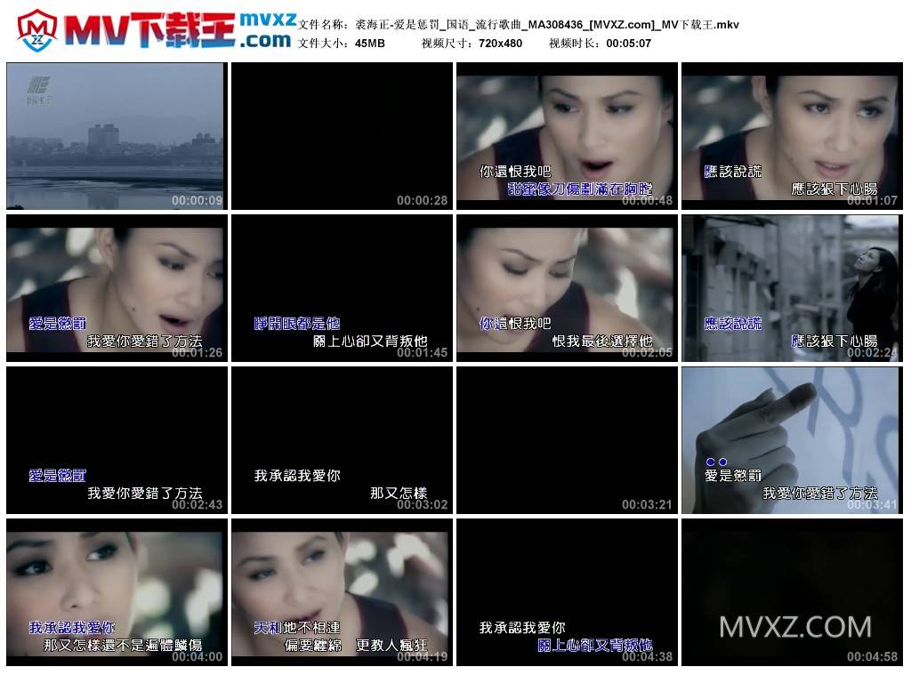 裘海正-爱是惩罚_国语_流行歌曲_MA308436